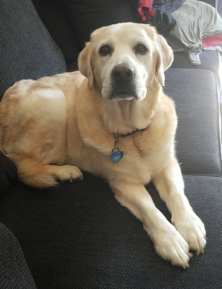 Roscoe Home Pet Euthanasia of Southern California